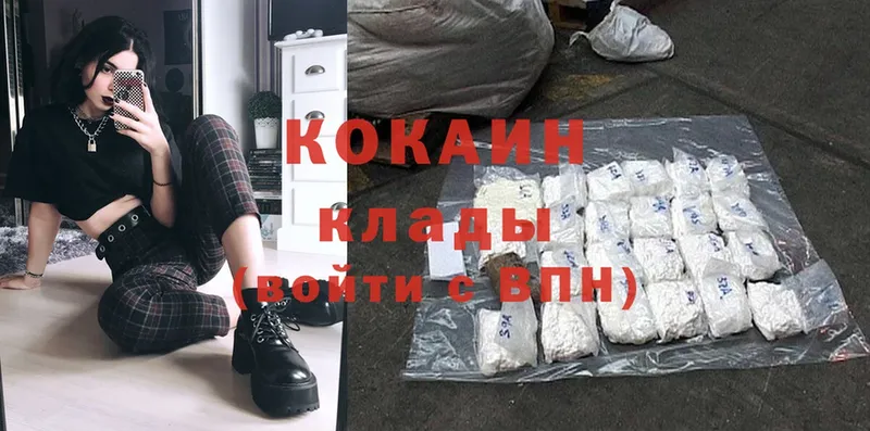 купить закладку  Светлоград  mega   Cocaine Эквадор 